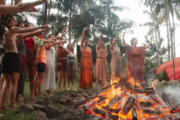 Asas e Raízes - Image 6