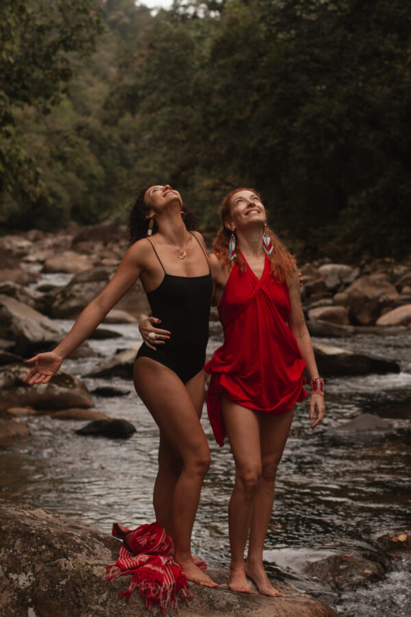 Asas e Raízes - Image 11